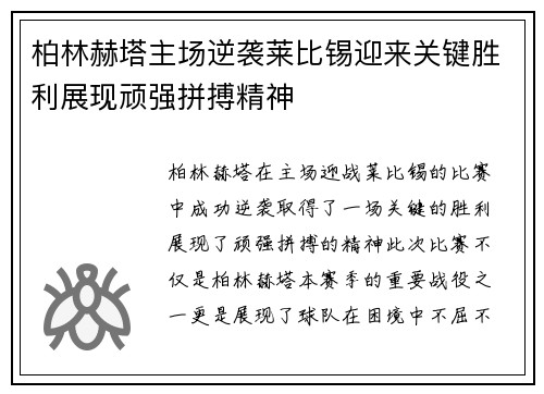 柏林赫塔主场逆袭莱比锡迎来关键胜利展现顽强拼搏精神