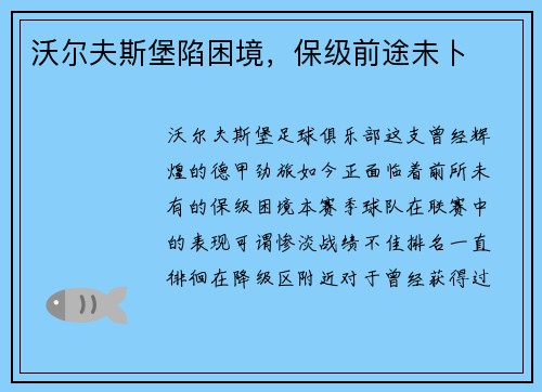 沃尔夫斯堡陷困境，保级前途未卜
