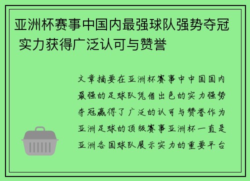 亚洲杯赛事中国内最强球队强势夺冠 实力获得广泛认可与赞誉