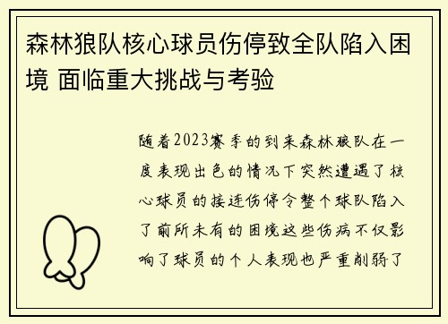 森林狼队核心球员伤停致全队陷入困境 面临重大挑战与考验