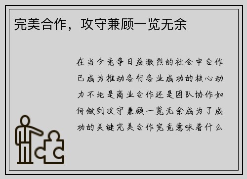 完美合作，攻守兼顾一览无余
